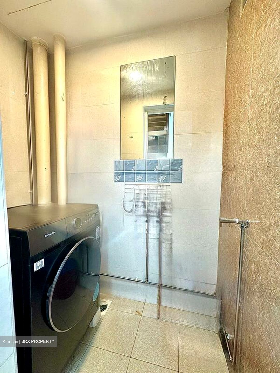 Seletaris (D27), Condominium #497320131